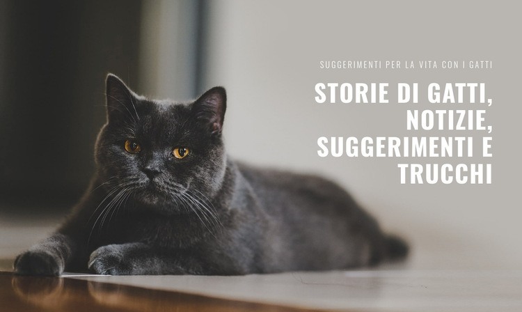 Notizie di storie di gatti Un modello di pagina