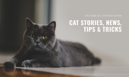 Cat Stories News - HTML Writer