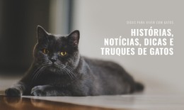 Notícias De Histórias De Gatos Modelo CSS Responsivo