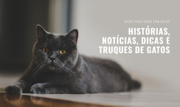 Notícias De Histórias De Gatos - Modelo De Elementos Premium