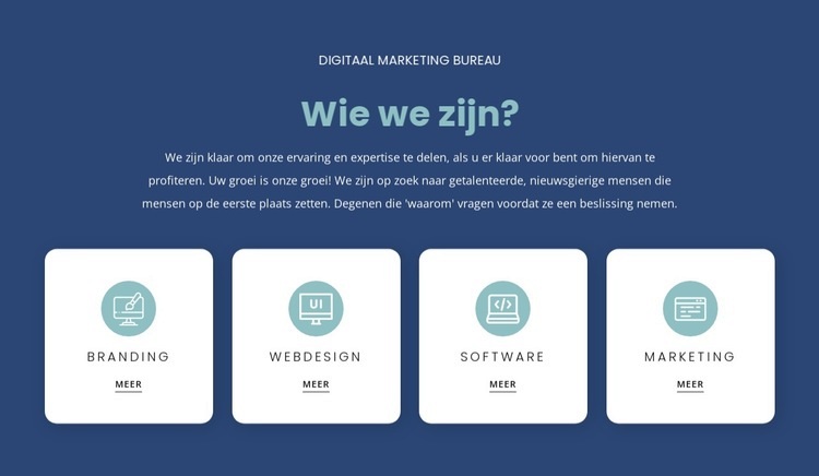 We luisteren naar uw wensen en adviseren Website ontwerp