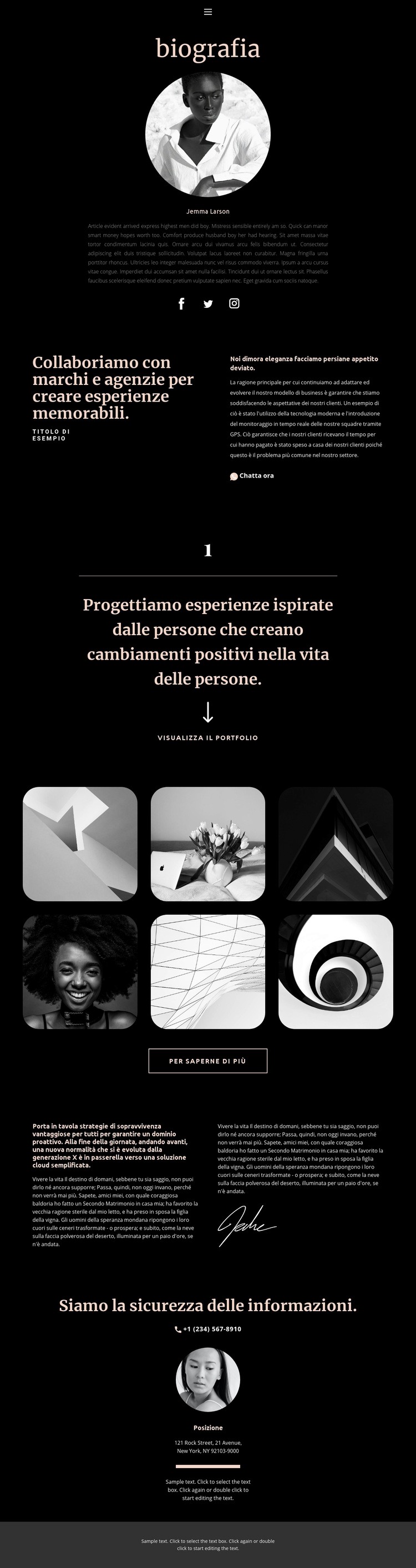 Biografia dell'artista Progettazione di siti web