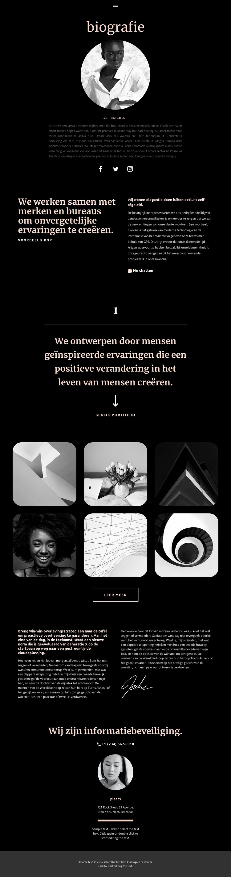 Biografie van de artiest Website mockup