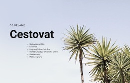 Bezplatné Stažení Šablony Html Pro Cestujte S Důvěrou