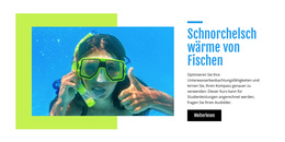 Schnorchelschwärme Von Fischen