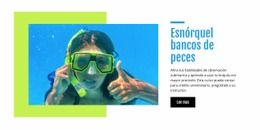 Esnórquel Bancos De Peces - Design HTML Page Online