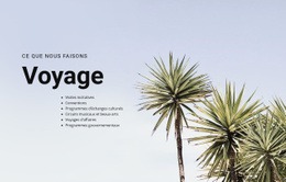 Voyagez En Toute Confiance - Inspiration Du Thème WordPress