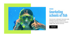 Responsive Web Template For Snorkeling Schools Of Fish