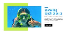 Progettazione Del Sito Per Snorkeling Banchi Di Pesce