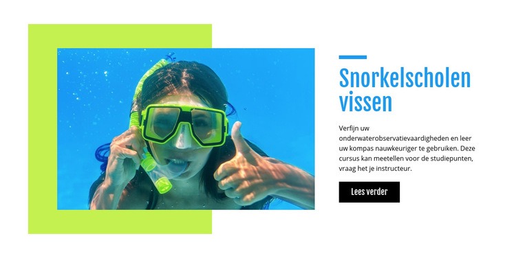 Snorkelscholen vissen Website mockup