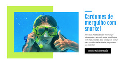 Cardumes De Mergulho Com Snorkel