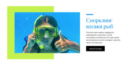 Снорклинг Косяки Рыб – Загрузка Шаблона Веб-Сайта