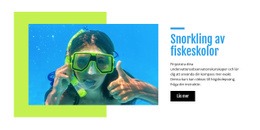 Snorkling Av Fiskeskolor - Målsidesmall