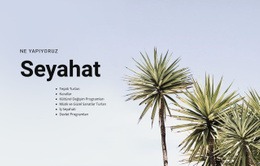 Güvenle Seyahat Edin Ücretsiz CSS Web Sitesi Şablonu