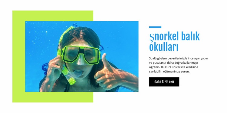 Şnorkel balık okulları Web Sitesi Mockup'ı