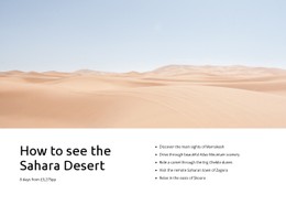 Website Design For Sahara Desert Tours