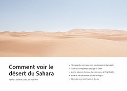Excursions Dans Le Désert Du Sahara - Modèle De Maquette De Site Web