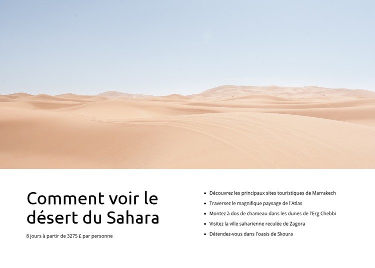 Excursions dans le désert du Sahara Maquette de site Web