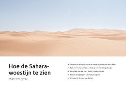 Websiteontwerp Voor Sahara Woestijn Tours
