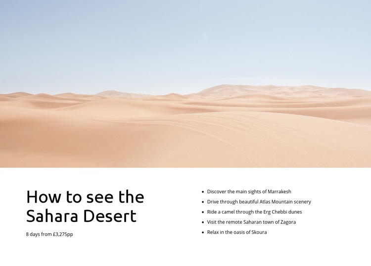 Sahara desert tours Webflow Template Alternative