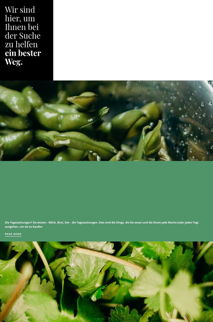 Gesunde grüne Rezepte Website-Modell