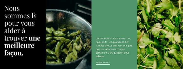 Recettes vertes saines Modèle d'une page