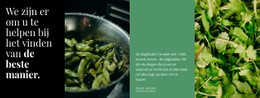 Gezonde Groene Recepten - Één Paginasjabloon Voor Elk Apparaat