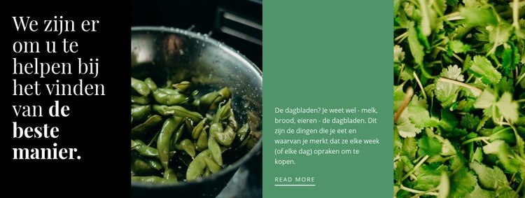 Gezonde groene recepten Website ontwerp