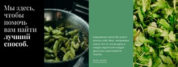 Полезные Зеленые Рецепты – Одностраничный Шаблон