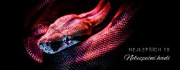Extrémně Nebezpeční Hadi – Šablona Vstupní Stránky
