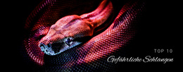 Extrem Gefährliche Schlangen – Gebrauchsfertiges WordPress-Theme