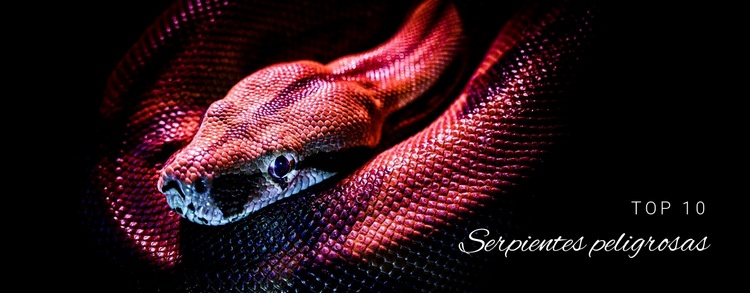 Serpientes extremadamente peligrosas Maqueta de sitio web