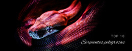Serpientes Extremadamente Peligrosas #Html-Templates-Es-Seo-One-Item-Suffix