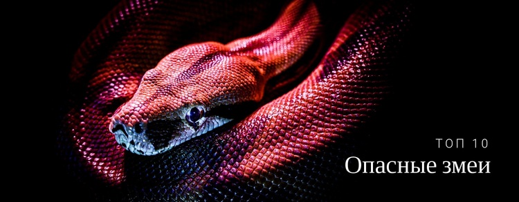 Чрезвычайно опасные змеи Шаблон веб-сайта