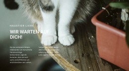 Haustiere Lieben Kostenlose CSS-Websitevorlage