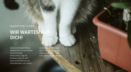 Haustiere Lieben - Leere HTML5-Vorlage