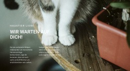 Website-Design Für Haustiere Lieben