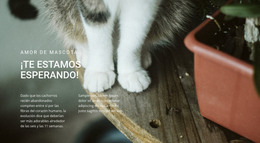 Amor De Mascotas: Plantilla HTML Adaptable