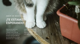 Amor De Mascotas: Plantilla HTML5 En Blanco