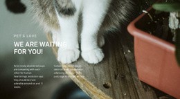 Pets Love - Drag & Drop Html Code