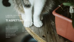 Animali Domestici Amore - HTML Writer