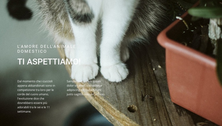 Animali domestici amore Modelli di Website Builder