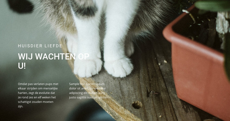 Huisdieren houden van HTML-sjabloon