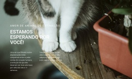 Design De Site Para Amor De Animais De Estimação