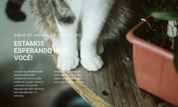 Amor De Animais De Estimação - Tema WordPress Gratuito