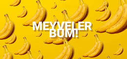 Meyve Bombası - Kullanımı Kolay WordPress Teması