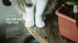 Pets Love - Simple Website Template