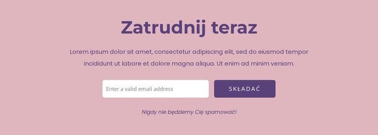 Stwórzmy razem Twoje wymarzone cyfrowe rozwiązanie Szablon CSS