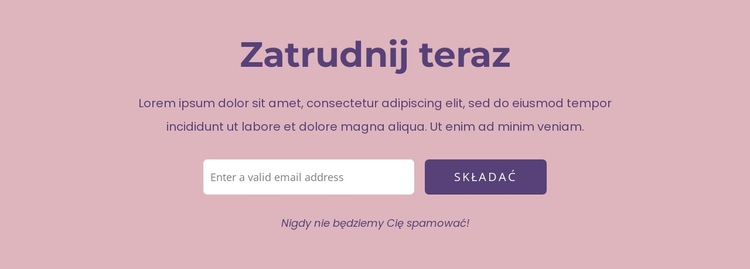 Stwórzmy razem Twoje wymarzone cyfrowe rozwiązanie Szablon witryny sieci Web