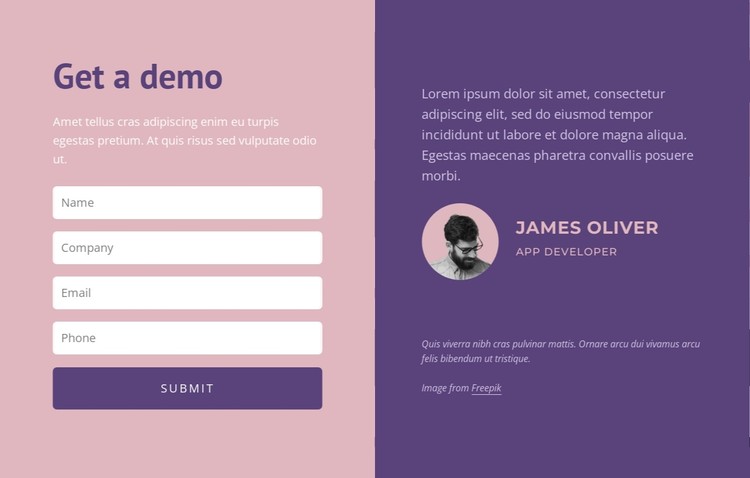 Contact form with text CSS Template